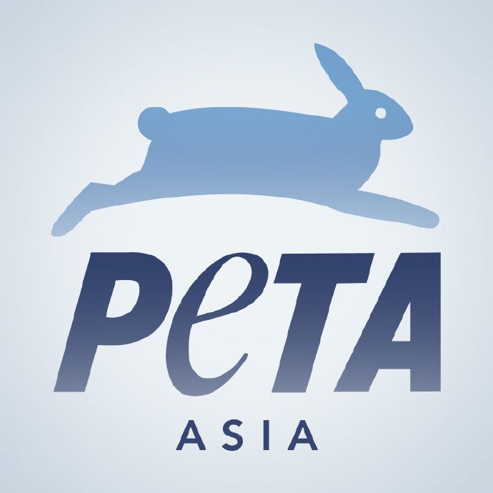 peta亚洲善待动物组织图片